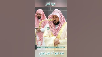 تلاوة خاشعة 🕊 سورة النجم 🌿  الشيخ أ.د ماهر بن حمد المعيقلي