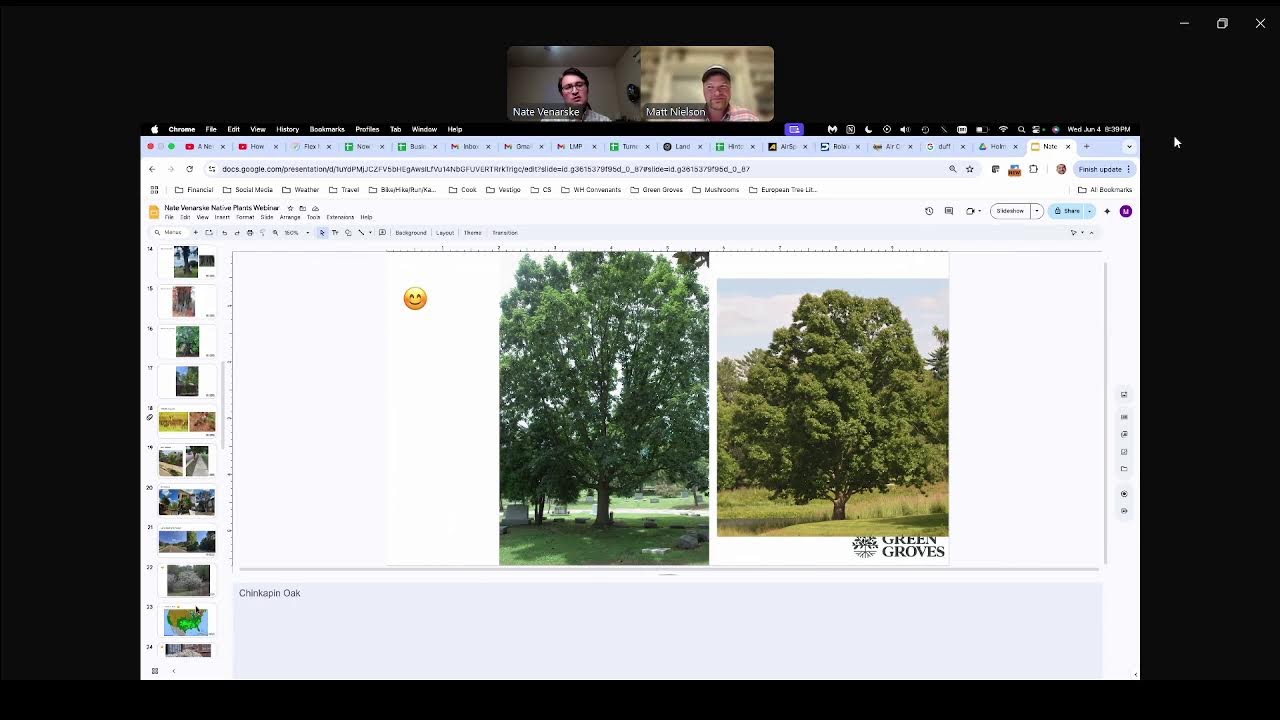 Talking Native Trees with Matt Nielson