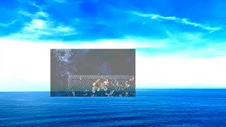 Strategyquant X Crakiado Descargar Full 2025 - Sqx