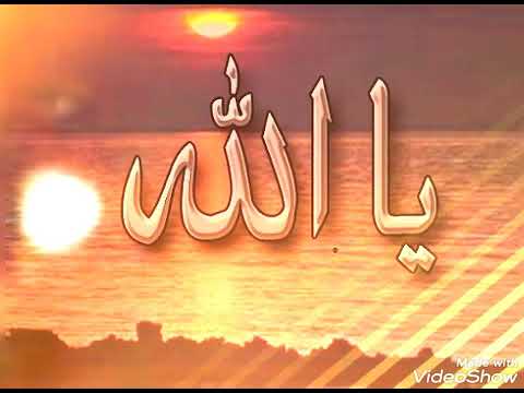 جمال الوجود بذكر الإله المنشد محمد المقيط