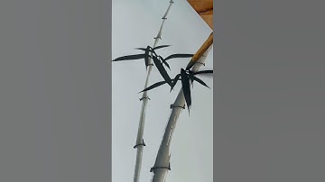 Vẽ Trúc Thủy Mặc | Dạy thư pháp online shorts #thuphap #thuymac #shorts