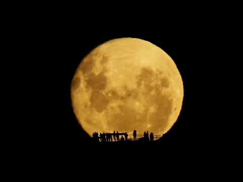 Άρτεμις Βραυρωνία