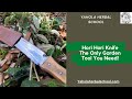HORI HORI KNIFE-THE ONLY GARDEN TOOL YOU NEED!