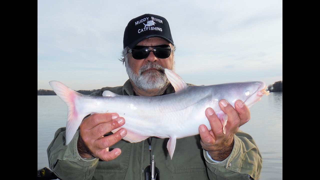 Chickahominy River 11115 YouTube