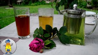 Чай из ЧАЙНОЙ РОЗЫ 🌹: 5 СОВЕТОВ по заготовке лепестков и приготовлению вкусного напитка
