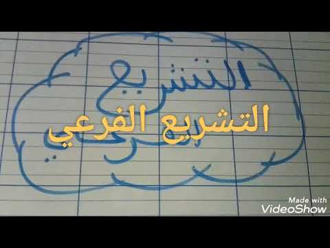 فيديو: ما هي صفات المحرر الفرعي؟