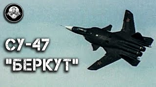 Су-47  Беркут. Черный Самолет И Крыло Обратной Стреловидности