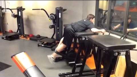 Single Leg Reverse Hyper