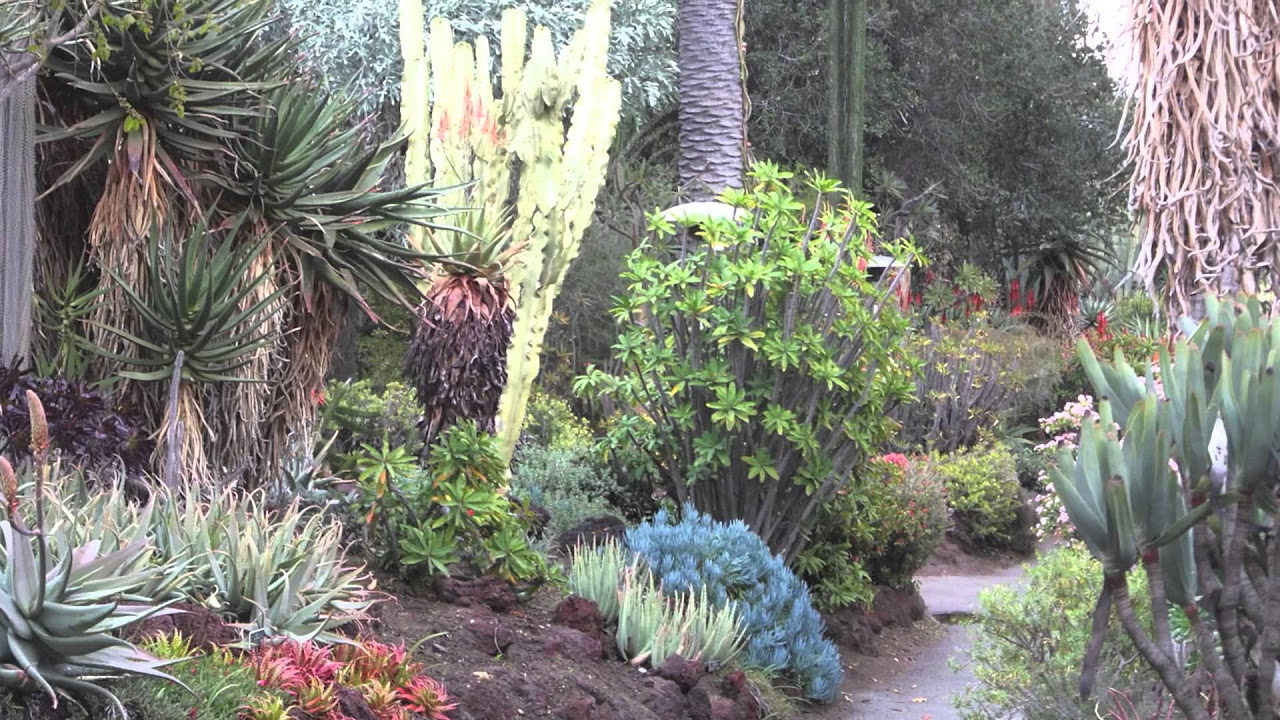 California Dreamin' on such a Winter's Day