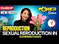 Sexual Reproduction in Flowering Plants | Class 9 Science New NCERT 2025 | PW Foundation