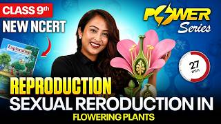 Sexual Reproduction in Flowering Plants | Class 9 Science New NCERT 2025 | PW Foundation