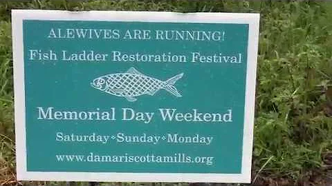 Along the Blackstone, Episode 74 - Fish Ladders