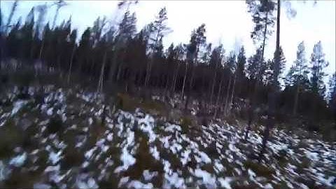 Betaflight 3.0.1 stock pids   | Flying Ginger