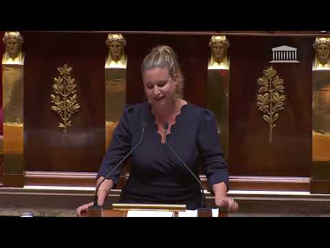 Discours de Mathilde Panot à l'Assemblée en réponse à Élisabeth Borne