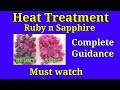 Heat treatment of ruby and sapphire gemstone dealing 