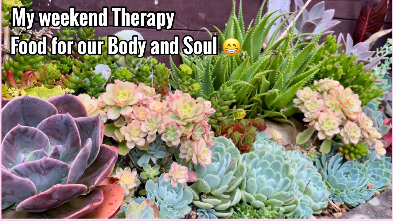 My Garden Plant Tour YouTube