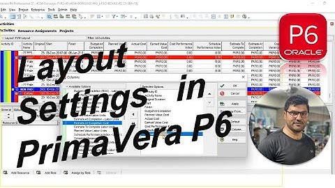 How to Set Layout in Primavera P6