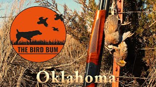 Oklahoma Quail Hunting & Truck CampingJanuary, 2024