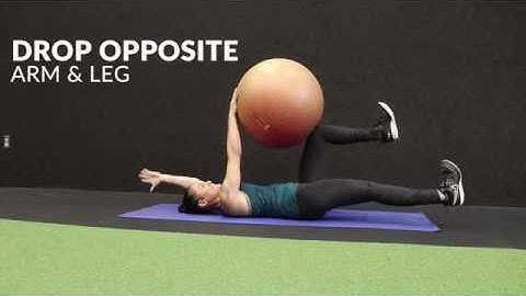 Static SB Deadbug Hold