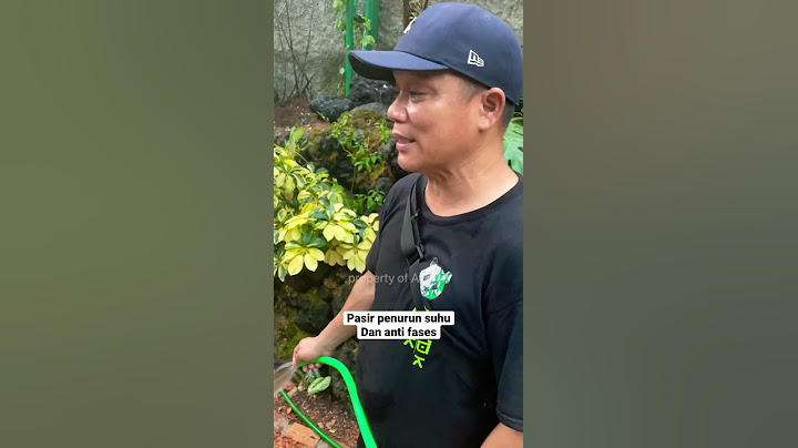 Pasir ajaib Aviary Dehakims | original video