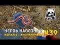 Русская рыбалка 4 #39 - Червь навозный. Копай 2 - эксперимент