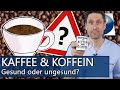 Kaffee & Koffein: Gesund oder eher schädlich? Ab wann ist es zuviel und worauf sollte Jeder achten?