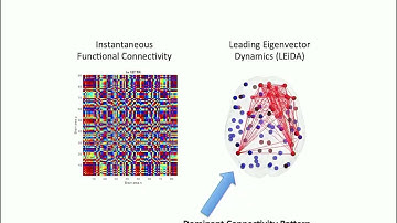 OHBM 2018 | Symposium | Joana Cabral | The switching choreography of the functional connectome