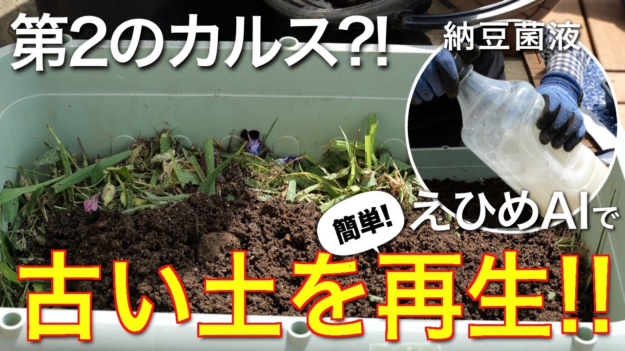 使用済みの土が驚くほどいい土に生まれ変わる‼︎えひめAIで簡単土のリサイクル！