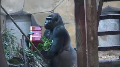 TTI Success Insights | YEAR EVENT 2019