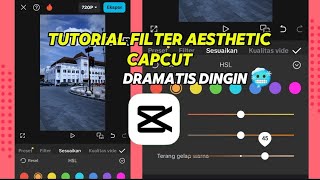 Download lagu TUTORIAL FILTER AESTHETIC DRAMATIS DINGIN CAPCUT