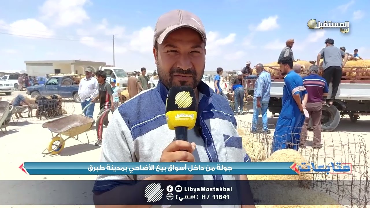 جولة من داخل أسواق بيع الأضاحي  _ طبرق