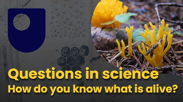 Questions in science - How do you know what is alive?