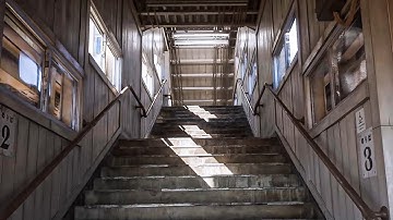 The Future of Game Graphics