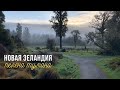 Новая Зеландия - Пелена тумана | Travel vlog 3