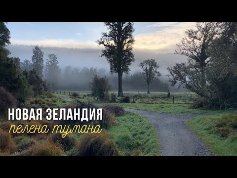 Видео: Новая Зеландия - Пелена тумана | Travel vlog 3