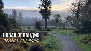 Новая Зеландия - Пелена тумана | Travel vlog 3