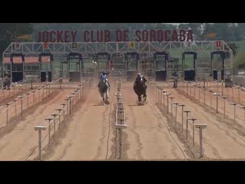 Vídeo: Páreo Luciano Alves