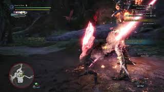 I Saved the Pukei-Pukei from Leshen with a Switch Axe -MHW x Witcher 3