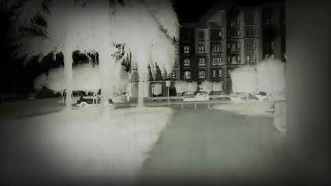 Run and catch the bus