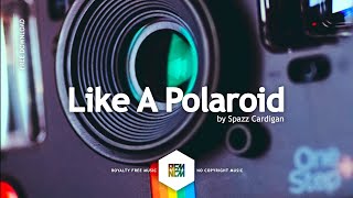 Like A Polaroid - Spazz Cardigan | Royalty Free Music No Copyright Free Download Background Music