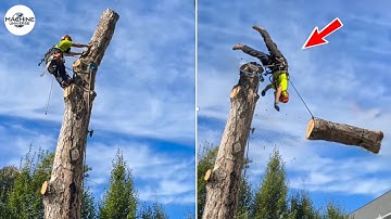 Idiots With Chainsaws: Tree Cutting Fails | Extreme Dangerous Logging Truck Fails #7
