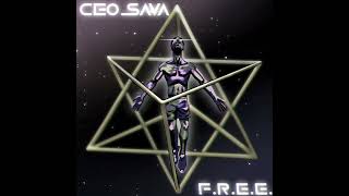 CEO Sava - F.R.E.E.