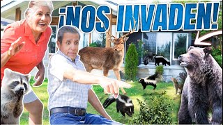 OUR HOUSE IS FILLED WITH WILD ANIMALS | LOS POLINESIOS VLOGS