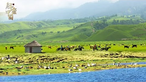 No one stepped in the grassland upstream of the Yellow River! The uninhabited area is so beautiful! - 天天要聞