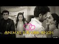 Animal x kabir singh 2024  love romantic  mashup  lofi holic studio