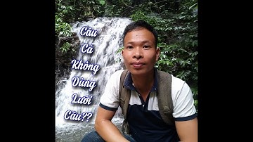 Đi câu cá trong rừng / chia sẻ cách câu cá suối không cần dùng lưỡi