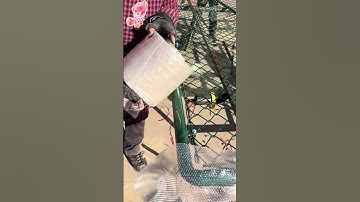 Guardrail net packaging