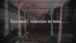 Slayer - Angel Of Death Subulada En Español