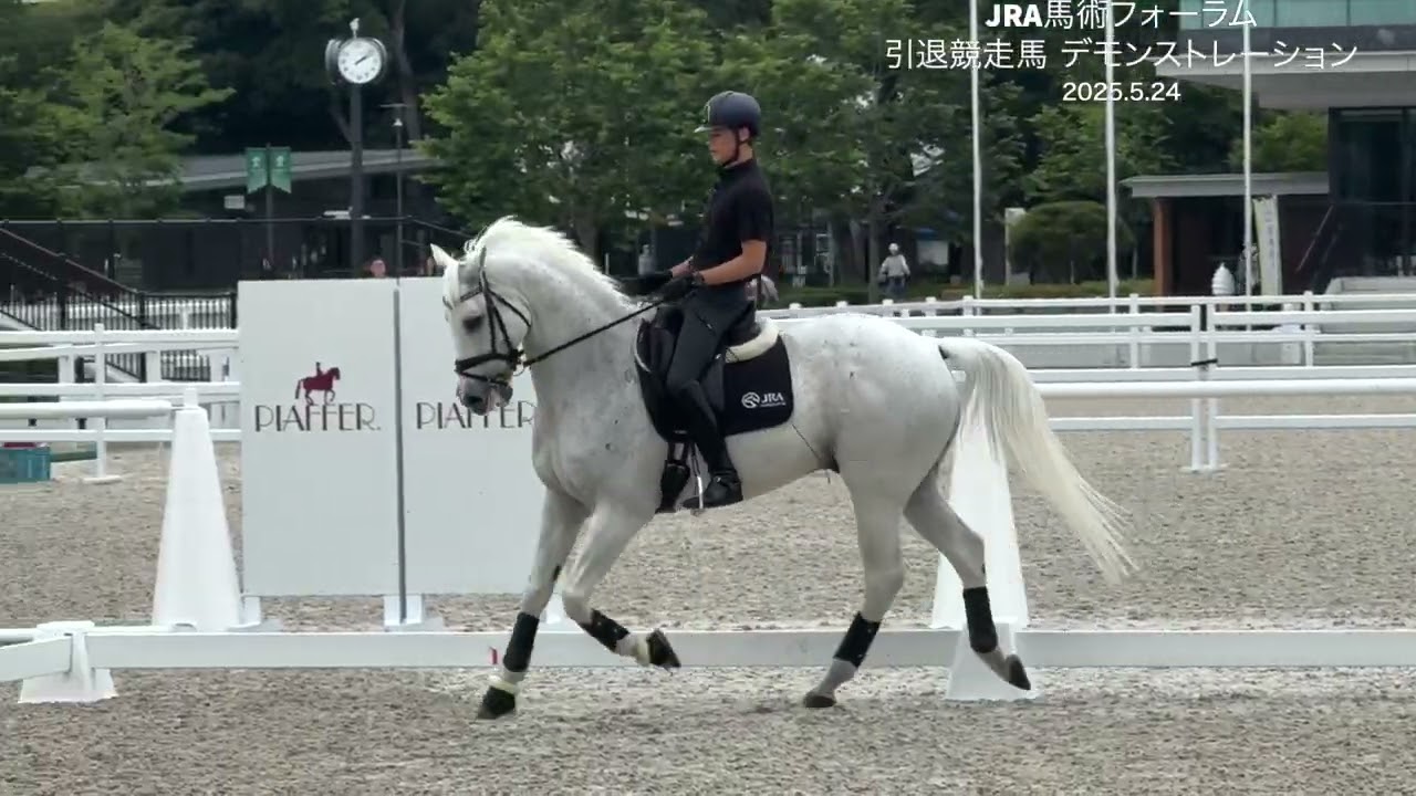 JRA馬術フォーラム 佐渡一毅選手とティーエスネオ 引退競走馬のデモンストレーション