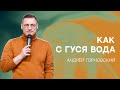 07 мая 2022. Пастор Андрей Горновский "Как с гуся вода"